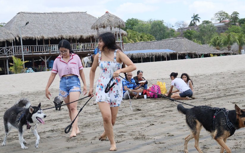 PLAYA